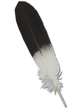 Feather - Imitation Bald Eagle - Wing