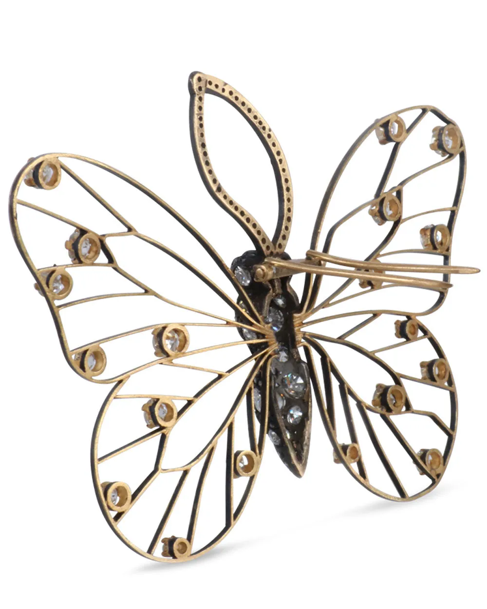 Golconda Butterfly Wing Brooch