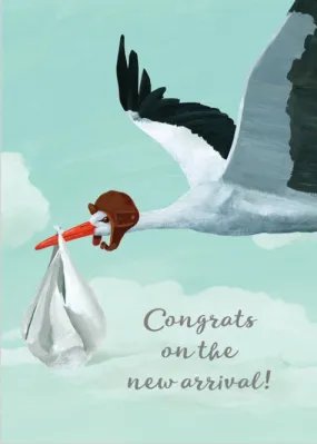 Stork Baby Card